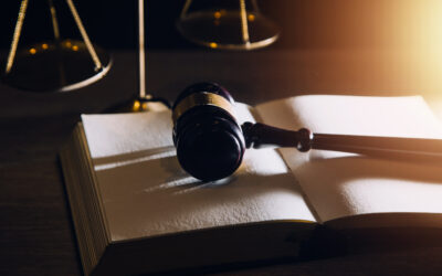 Egzekucja alimentów w Lublinie – jak skutecznie odzyskać zaległe alimenty?