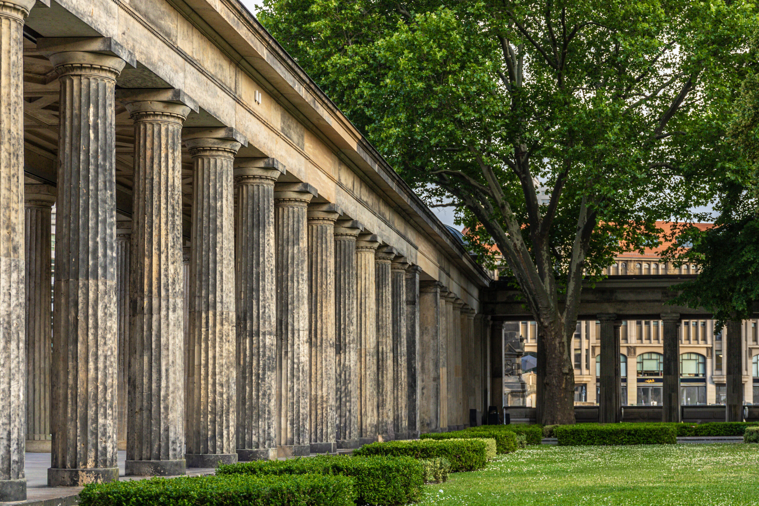 Stone columns of ancient colonnade in city garden. Harmony of architecture and nature.